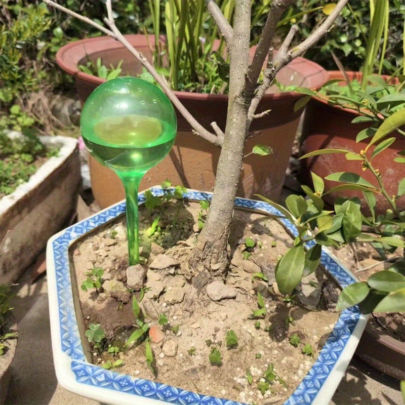 6PCS Indoor Plants Self Wateri - Smart Garden Auk ulasan dan harga